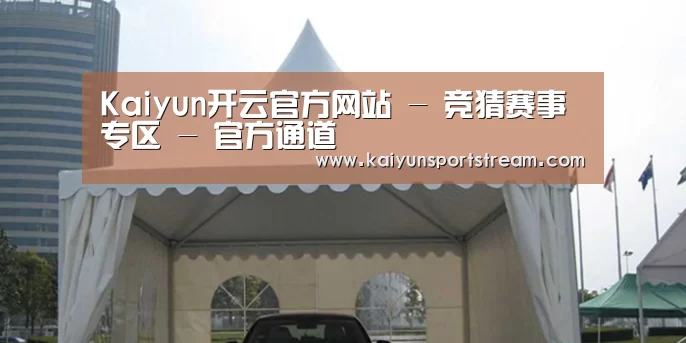 案例标题八(图1)