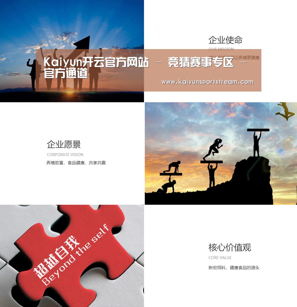 企业文化(图1)