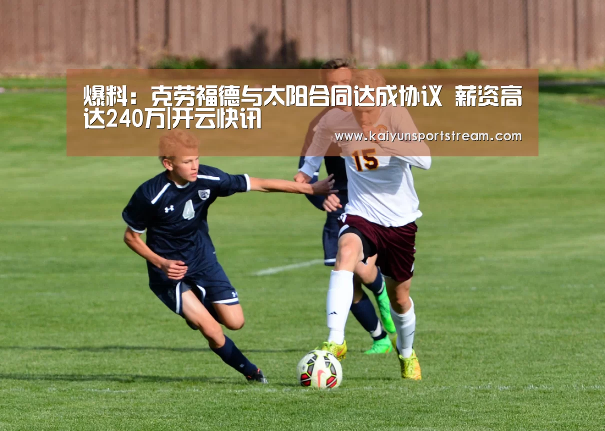 开云聚合