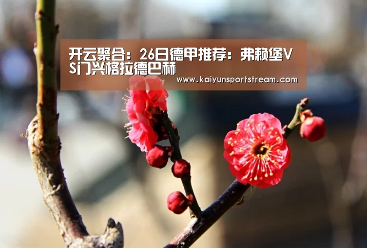 开云聚合:26日德甲推荐:弗赖堡VS门兴格拉德巴赫(图2) 开云体育