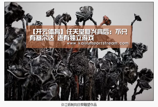 【开云体育】任天堂复兴背后:不只有塞尔达 还有独立游戏(图2) 开云聚合