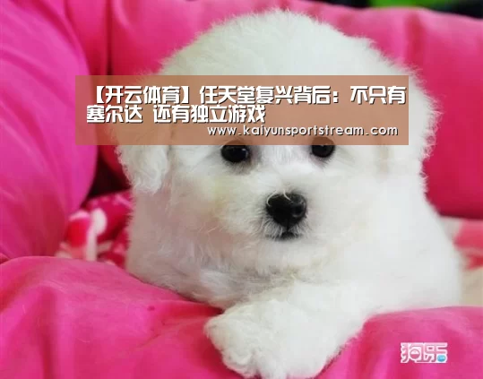 【开云体育】任天堂复兴背后:不只有塞尔达 还有独立游戏(图4) 开云体育